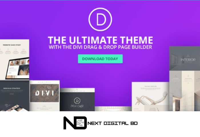 divi theme wordpress theme download